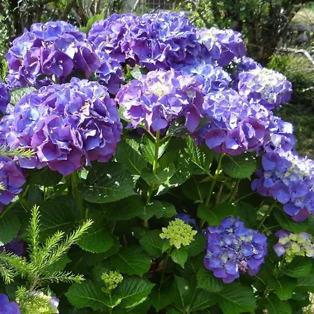Recién Restaurada En Canedo Con Terraza